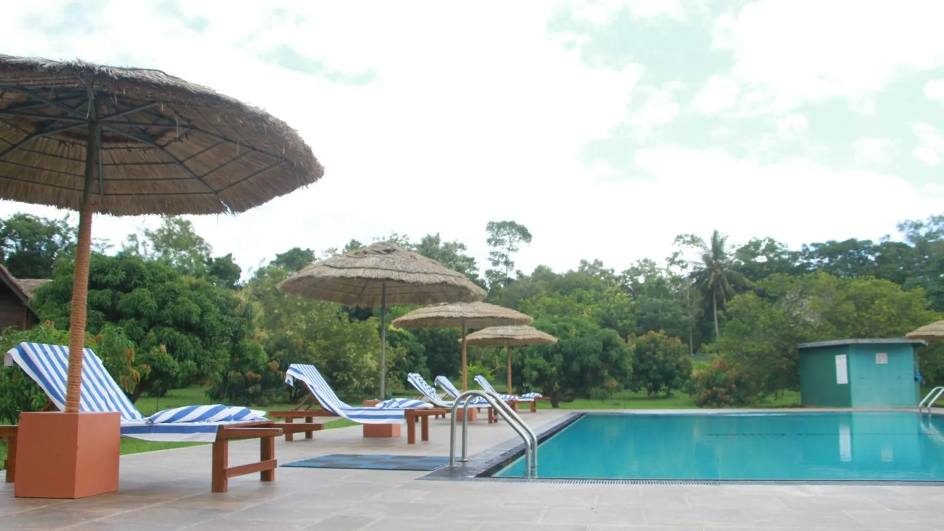 Sigiriya Peacock Homestay