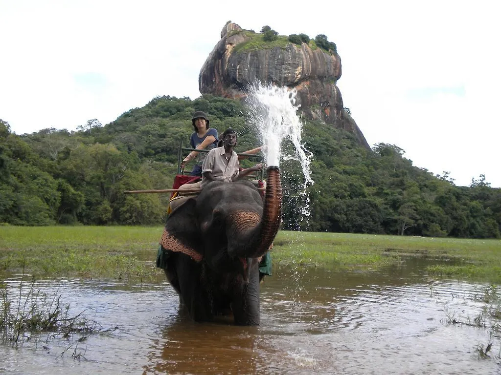 Sigiriya Peacock Homestay