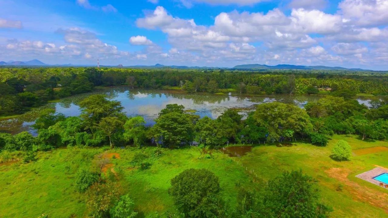 Sigiriya Peacock Homestay