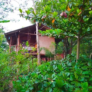Akash Treehouse Проживание в семье